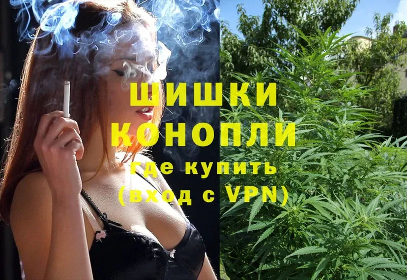 Шишки марихуана THC 21%  Саров 